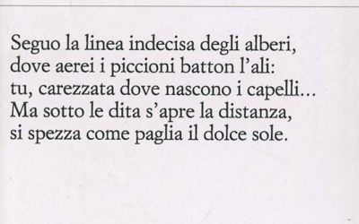 Storia dell’avaro (da Philippe Jaccottet, “Il barbagianni e l’ignorante”, a cura di F. Pusterla, Einaudi, Torino 1992)