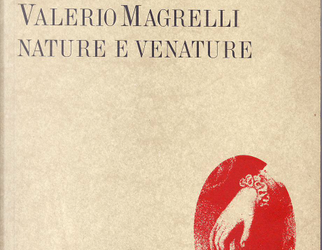 Sale sempre da un lato… (da Valerio Magrelli, “La febbre”, in “Nature e venature”, Mondadori, Milano 1987)