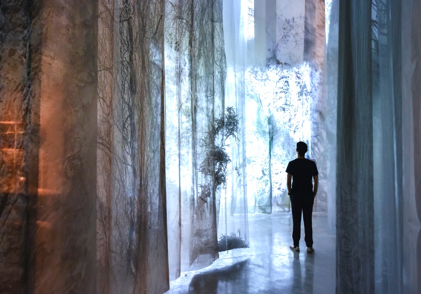 Federico Italiano, Habitat