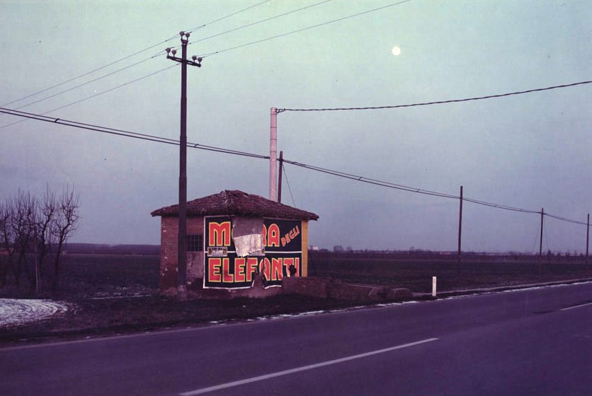 Marco Bini, New Jersey